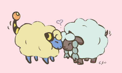 sheep sheep sheep sheep!