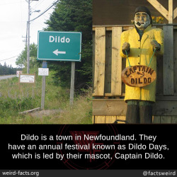 Mindblowingfactz:  Dildo Is A Town In Newfoundland. They Have An Annual Festival