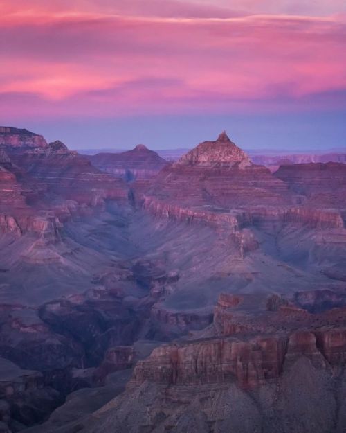 Happy 100 @grandcanyonnps ✨ I’ve only been twice, but every time I saw it each of those trips 