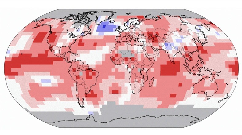 Sea surface analysis briggs and