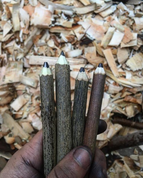 Sharpening twig pencils leads to very grubby hands. . . . #wpwoodcraft #wood #wooden #woodenspoon #w