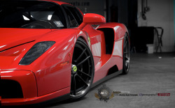 automotive-lust:  Enzo, a.k.a sexy best