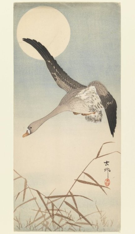 Goose Flying in Moonlight, Ohara Koson, between 1907 and 1913