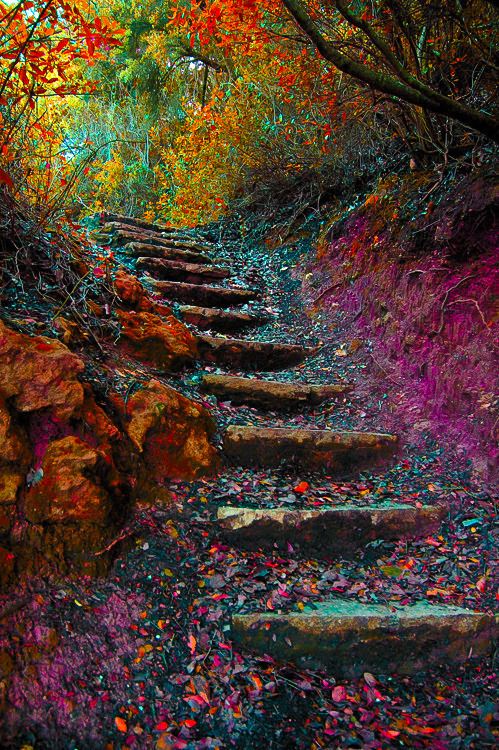 coiour-my-world:Stairway to Heaven