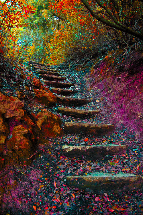 coiour-my-world - Stairway to Heaven