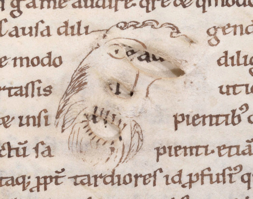 erikkwakkel: Parchment face Here’s something special. Last Friday I posted a blog on holes fou