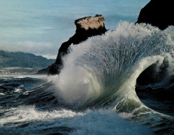 apeninacoquinete: cape kiwanda, 1970s