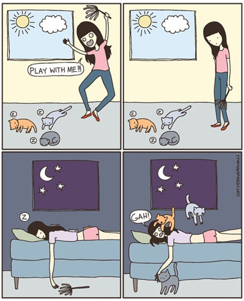 actyourshoesizegirl: the-awesome-quotes: Funny Comics Reveal The Reality Of Owning A Cat Cat lady 10