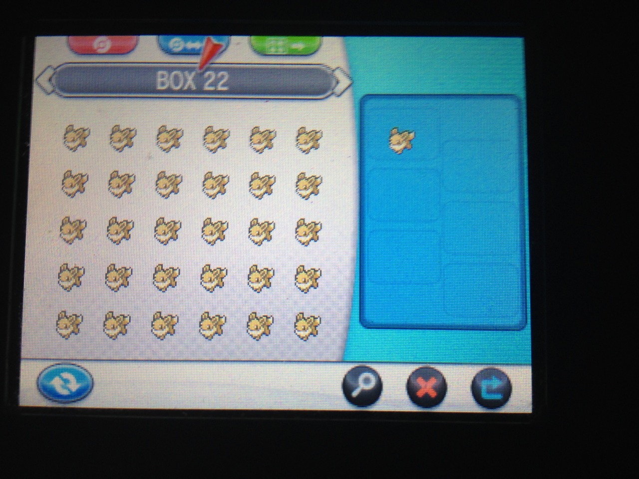 holothewolf-x:  SHINY EEVEE BOUNS MASSIVE GIVE AWAY EXTREME!!! XD lol but seriously