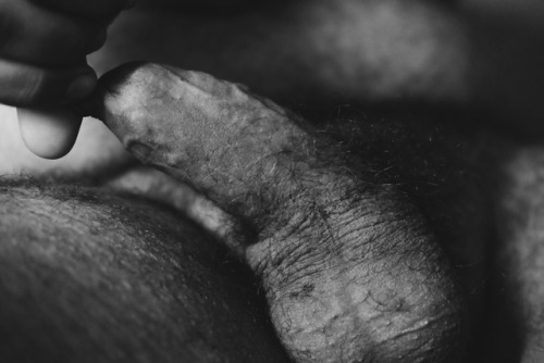 sevenbear14: Morning wood (1)