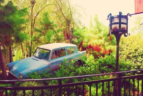 intoasylum:  The Wizarding World of Harry Potter | September 2010 