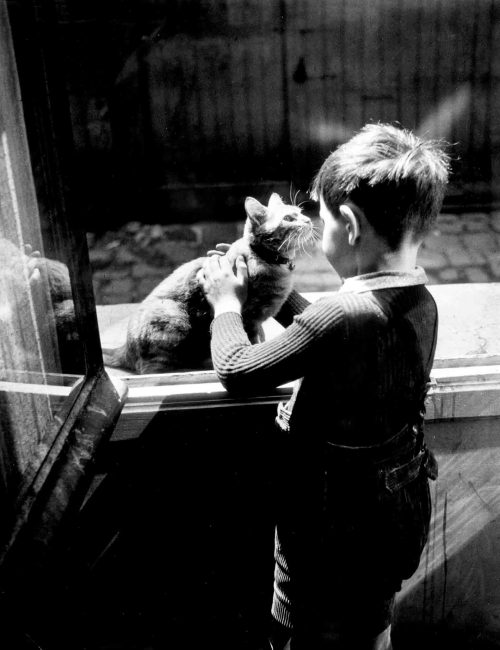 mimbeau:Belleville : The little boy and the catParis circa 1950Willy Ronis
