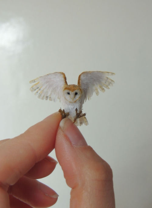 a-mini-a-day:Exquisite mini animal sculptures by Anya Stone.But HOW, though, just HOW. 