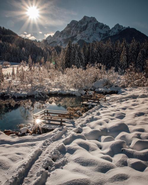 oneshotolive:  Zelenci Nature Reserve (Kranjska