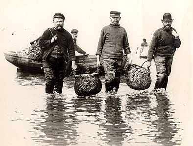 eatsflorida:Early Florida oystermen, hauling their baskets.