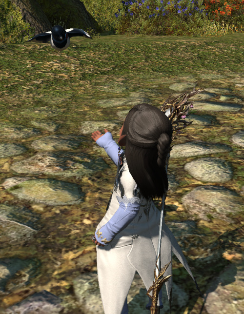 tovakiin:tiergan-vashir:magnoliathewhiteffxiv:yeeee new minions Hnnnng, HOW DO I GET BIRB?!MOGSTATIO