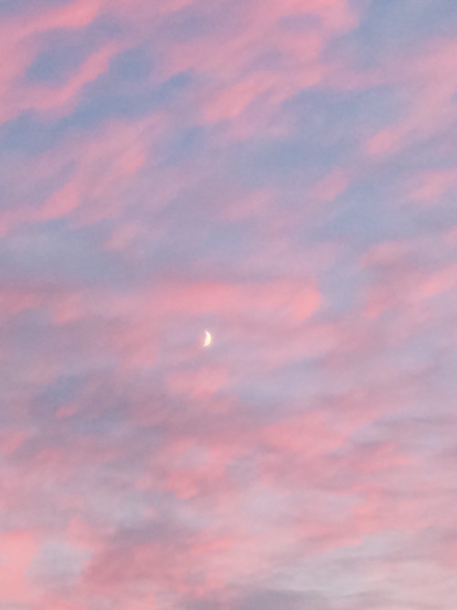 hvllucinvtion: softwaring:the moon looked so great wow you’re plantastic