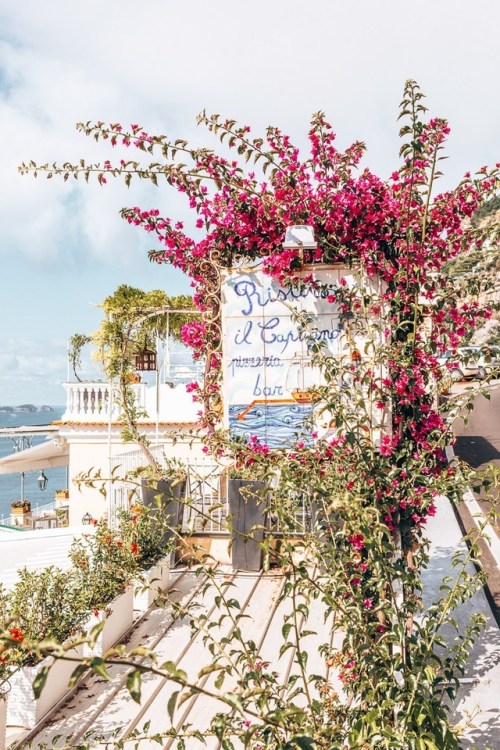 floralls:Moments from Amalfi by NINA TEKWANI