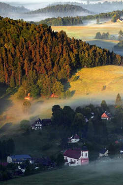 atraversso:  Misty morning | By Tomas Sereda