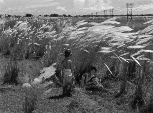 365filmsbyauroranocte:“Don’t be anxious. Whatever God ordains is for the best.”  Pather Panchali (Satyajit Ray, 1955)  