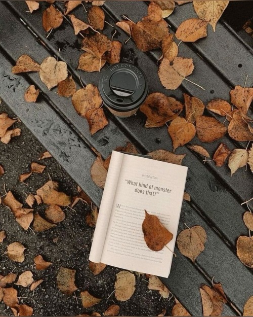 Autumn Vibes