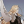 themoonlightninja:  Ren’s contract expired…  