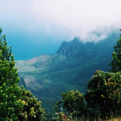 Mermaids-Love-Summer:  •Kauai•