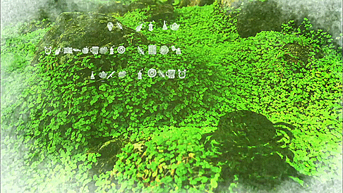 fandemymy:Hakumei to Mikochi OP - details 