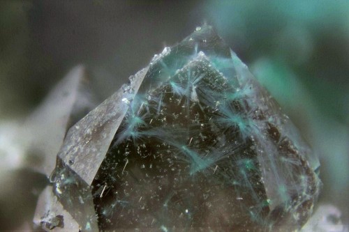 underthescopemin:  Zálesíite, Mixite Group, Quartz Locality: Heidenbach, Munster, Fecht valley (Munster valley), Haut-Rhin, Alsace, France Nice mixite-zalesiite inclusions on Quartz ghost. Quartz crystal is 2m large.  Thierry Brunsperger’s Photo 