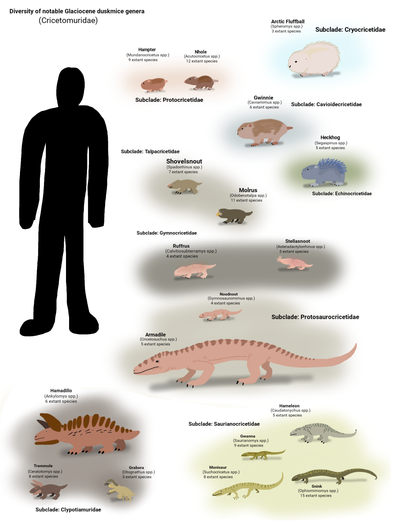 ceo of hamster evolution — The Early Temperocene: 140 million years