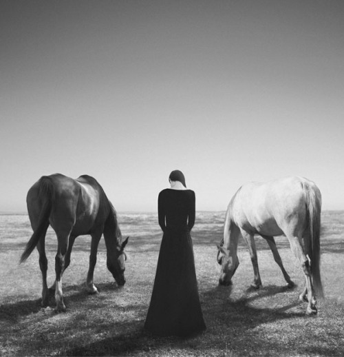 weandthecolor: Photography by Noell S. Oszvald See more on WE AND THE COLOR.Follow WE AND THE COLOR 