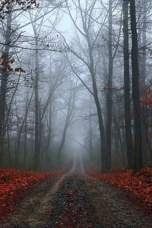 Untitled By Yaln Cokun 