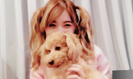 mochichan00:  Two puppies