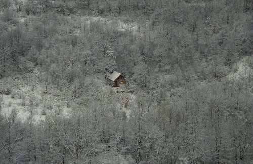 te5seract:House amid Forest in SummerHouse amid Forest in AutumnHouse amid Winter ForestHouse amid F