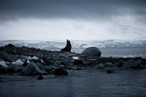 nubbsgalore:  destination desolation. photos by sebastian copeland, who travels the earth’s polar regions - even crossing antarctica by kite in eighty one days - to document a landscape he sees as both the front lines in the battle against climate