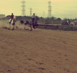 la-mugrosita:  Carreras de caballo en el Pico Rivera! 