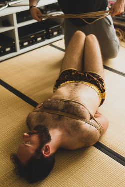 Strictly-Nawa-Kitsune:  Sweet Afternoon With Tigrou - Ropes : @Strictly-Dirtyvonp