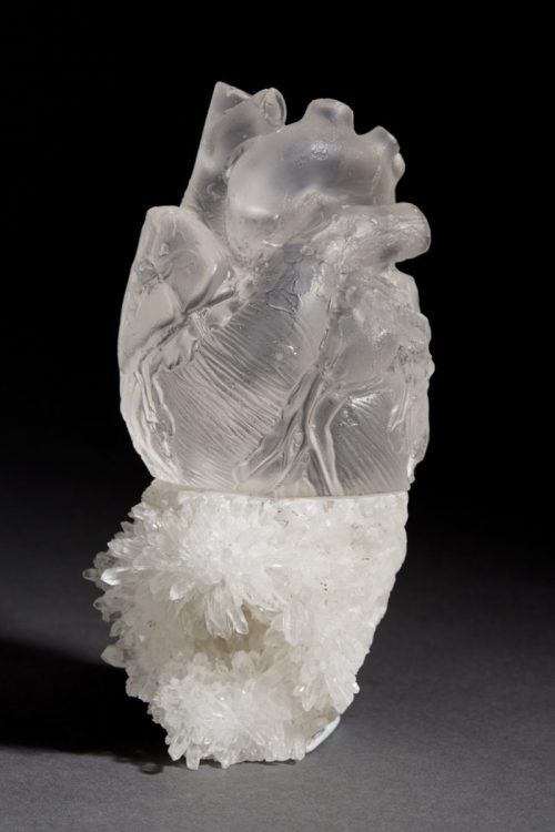 themedicalstate: Anatomical Works Sculpted in Crystal and GlassSanta Fe-based sculptor and jewelry d