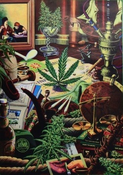 Always High, Never Dry