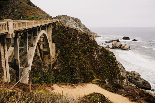 eartheld:  n-c-x:  woodsndirt:  derekcopenhaver:  Big Sur, CA.  +  nature blog  mostly nature