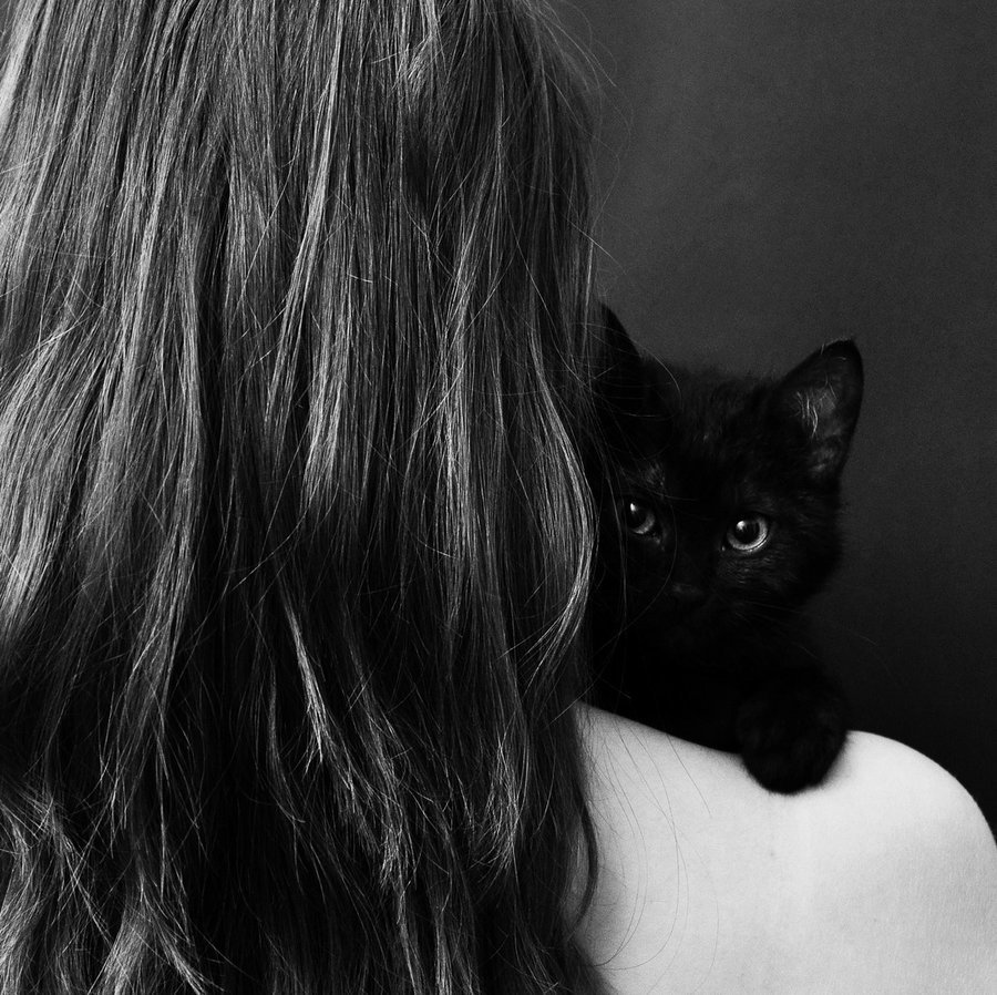 Cheer Up Post #4385 - Black Kittens Edition