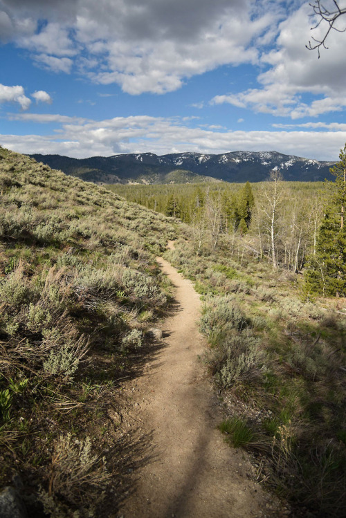 Trailing Off - Sawtooth National Forest, Idaho - May 2018By: Ovlz