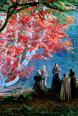 stark:He remembered their godswood; the tall sentinels armoured in their grey-green needles, the gre