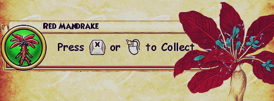 wizard101 red mandrake wizard101 red mandrake