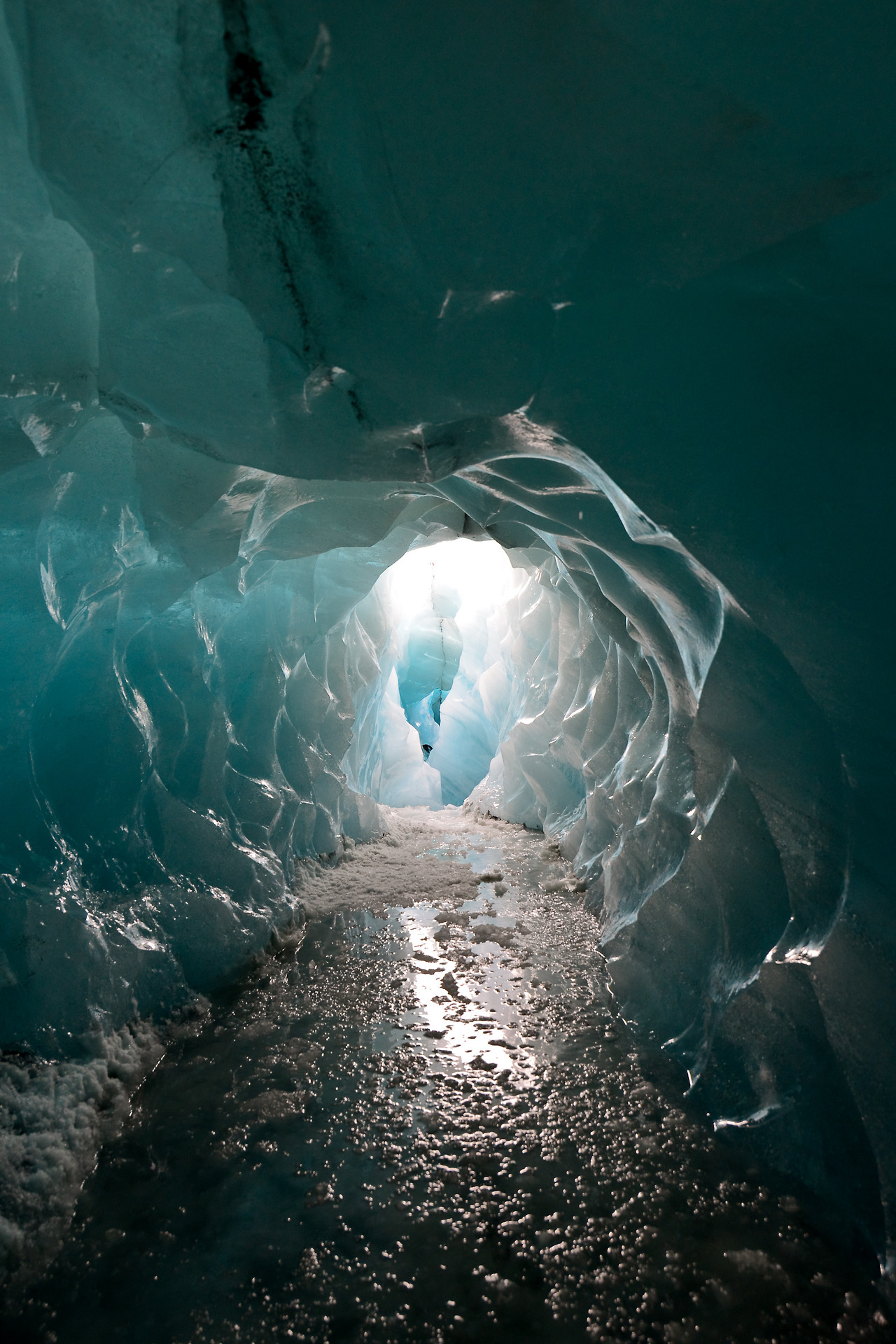 glacier hike + fjarorargljufur
Iceland, march 2017