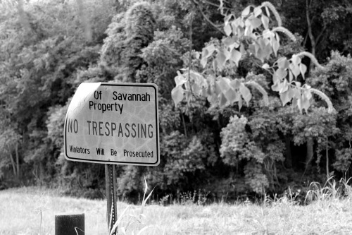 seanjustice:  -Photo by seanjustice Savannah, Ga.