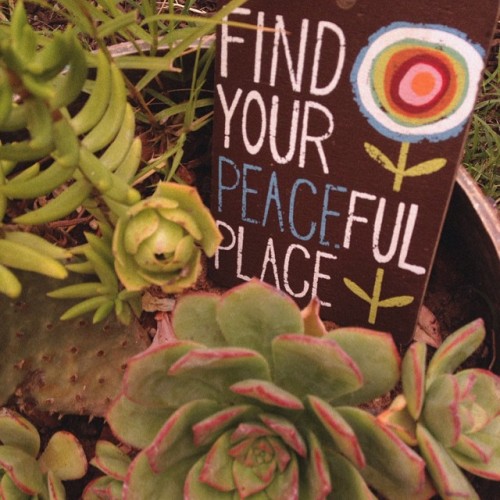 bey-ondtheroad:  lucidnirvana:  peace and positivity here☮  Positivity here :)