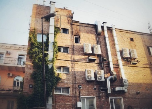 #vladivostok #building #streetphotography #green #sky #windows #vladivostok_beautiful #nikon #citysc
