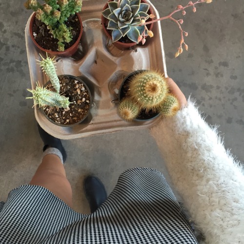 thriftedrose: Farmers market fun ⛅️