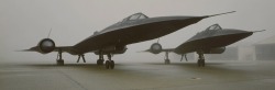neuromaencer:  Lockheed Martin SR-71 Blackbirds